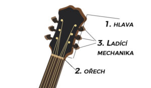 Jak se naučit hrát na kytaru - fotografie kytary a její části